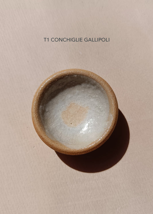 Corso Intensivo * Ash Glazes ~ Smalti a base di Cenere (e non solo)