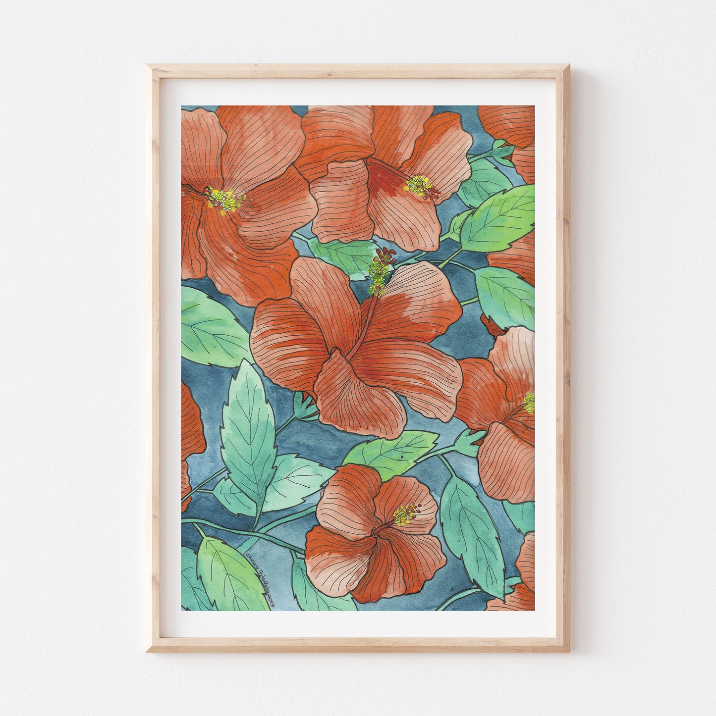 Hibiscus